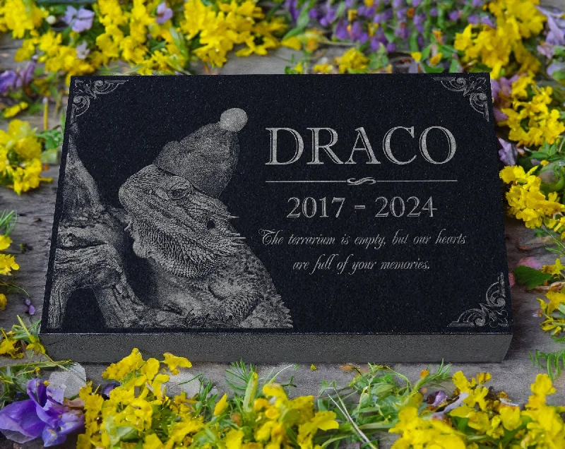 Red stockings for a bold and passionate statementCustom Pet Photo Memorial Slab: Rabbit Garden Tribute, Horse Headstone, Reptile Burial Marker, Chicken Grave Plaque, Goat Outdoor Keepsake Red stockings for a bold and passionate statementCustom Pet Photo Memorial Slab: Rabbit Garden Tribute, Horse Headstone, Reptile Burial Marker, Chicken Grave Plaque, Goat Outdoor Keepsake