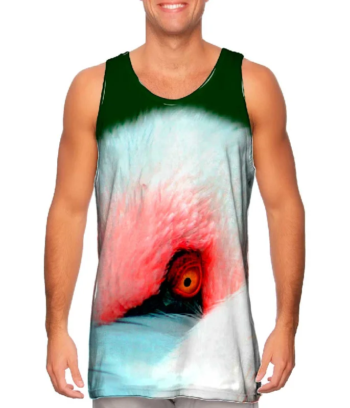 Square Neck Women's Organic Cotton Tank Tops in Earth TonesGrey Wolf